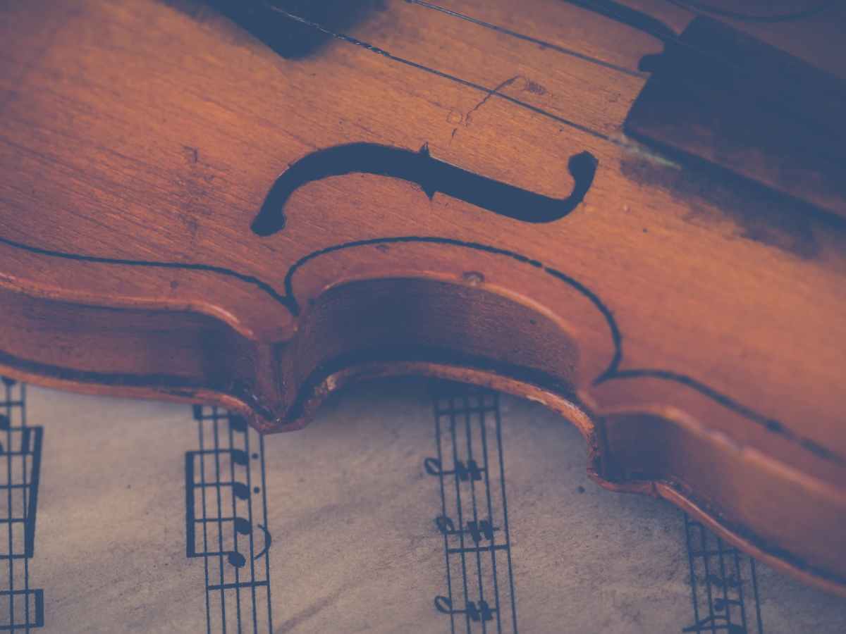 Vintage & Old&nbsp;violins